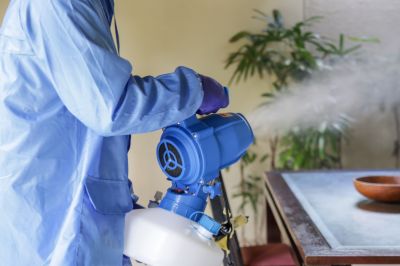 Pest Fumigation Service in Myrtle Beach, SC