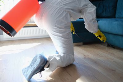 Spider Fumigation Service in Marietta, GA