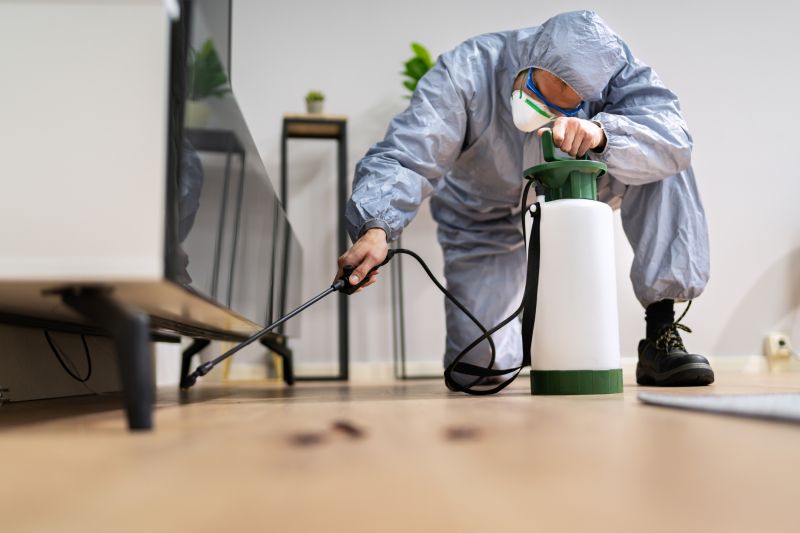 Residential Mite Removal Experts
